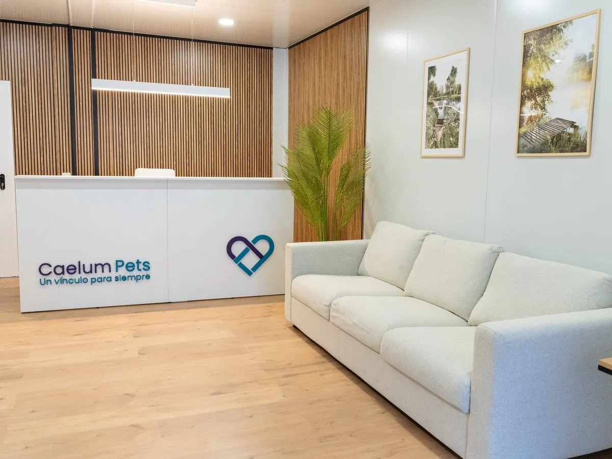 Caelum Pets | Tanatorio y Crematorio de mascotas en Madrid en San Fernando de Henares — foto 2