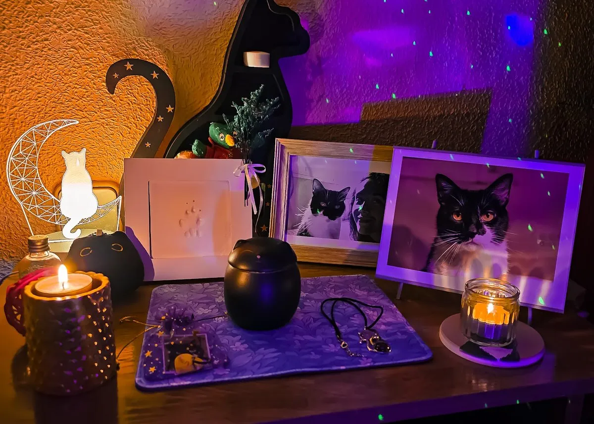 Caelum Pets | Tanatorio y Crematorio de mascotas en Madrid en San Fernando de Henares — foto 3