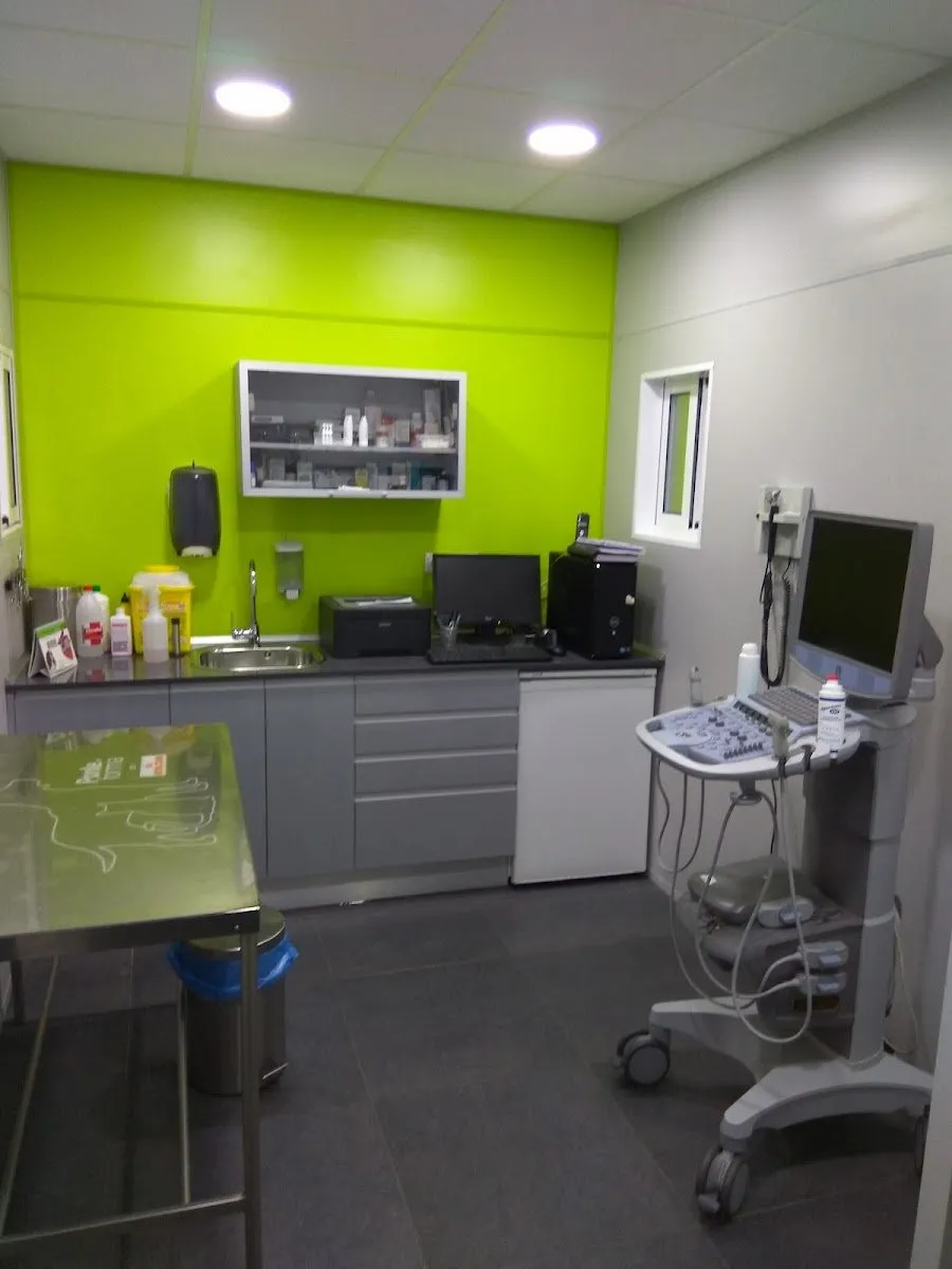 Centro Veterinario Los Delfines | Clínica veterinaria en Coslada en Coslada — foto 3