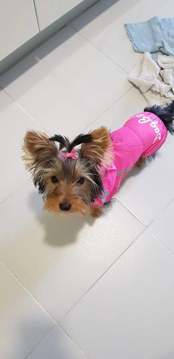 Clínica Veterinaria Animalandia en Vicálvaro — foto 5
