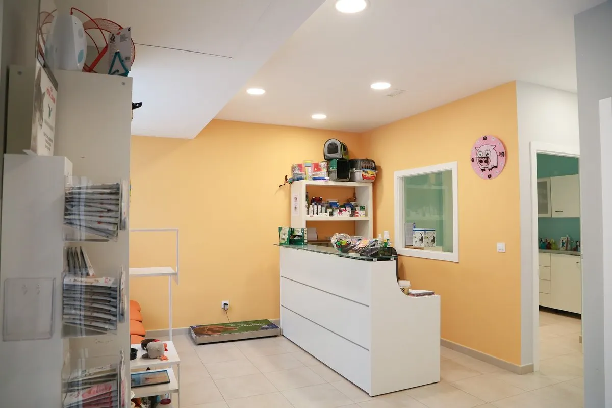 Clínica Veterinaria Coslada en Coslada — foto 2