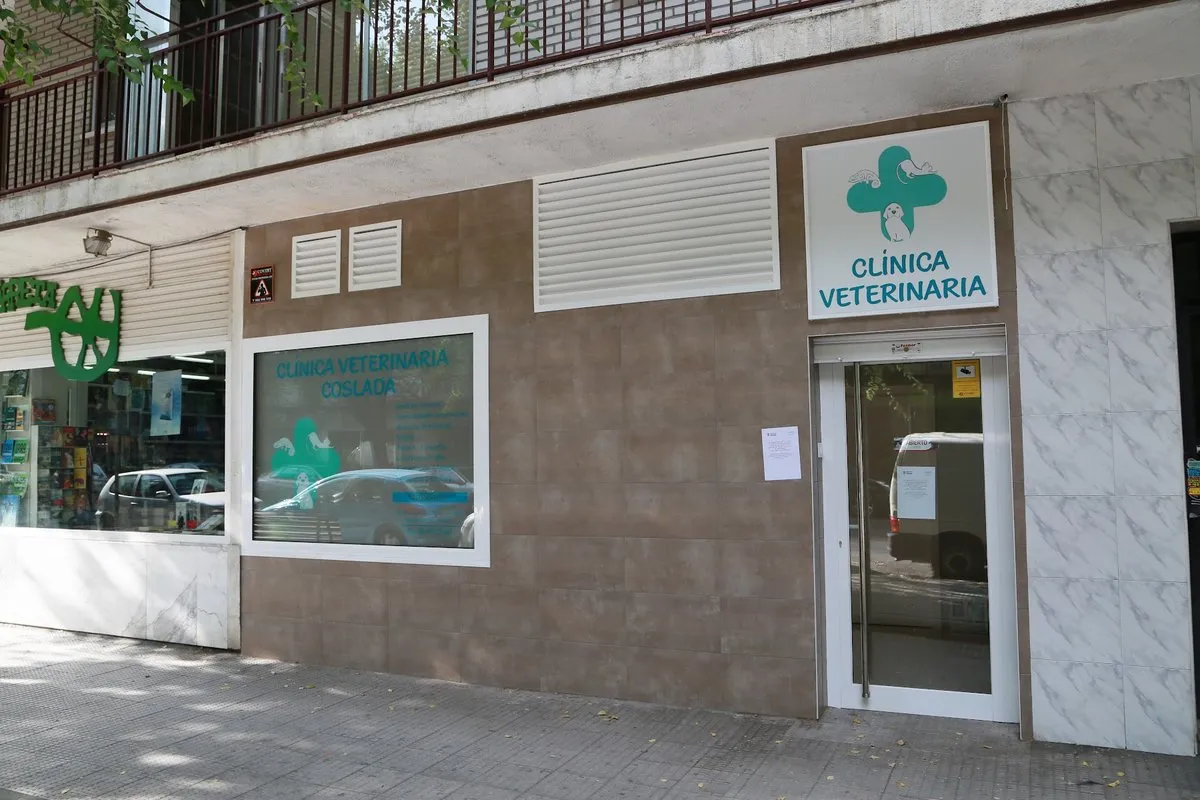 Clínica Veterinaria Coslada en Coslada — foto 3