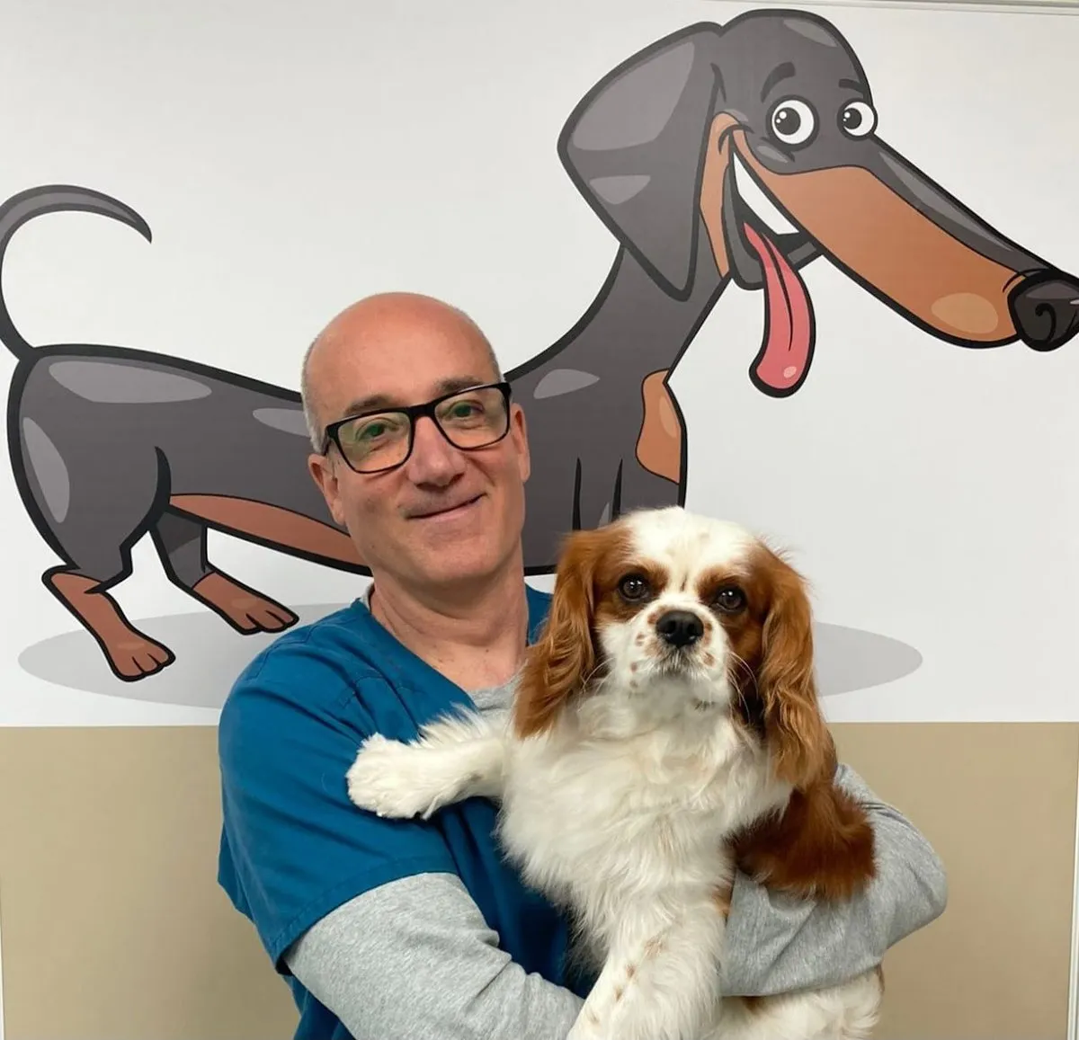 Clínica Veterinaria Hábitat Vicálvaro en Vicálvaro — foto 3