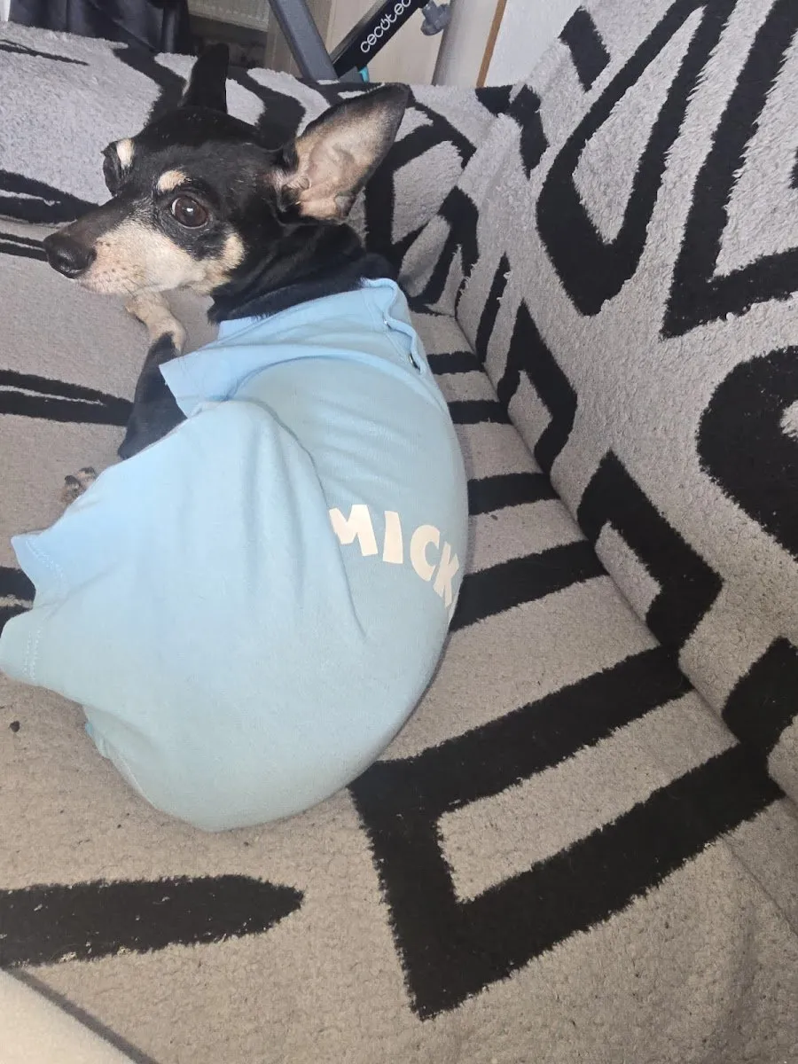 Clínica Veterinaria Méjico 17 en Coslada — foto 3