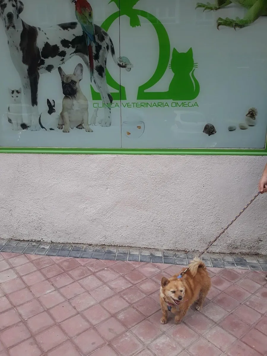 Clínica Veterinaria Omega en Vicálvaro — foto 4