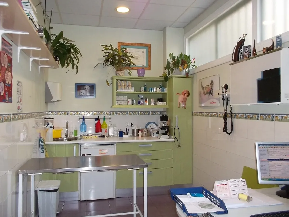 Clínica Veterinaria Valleaguado en Coslada — foto 3