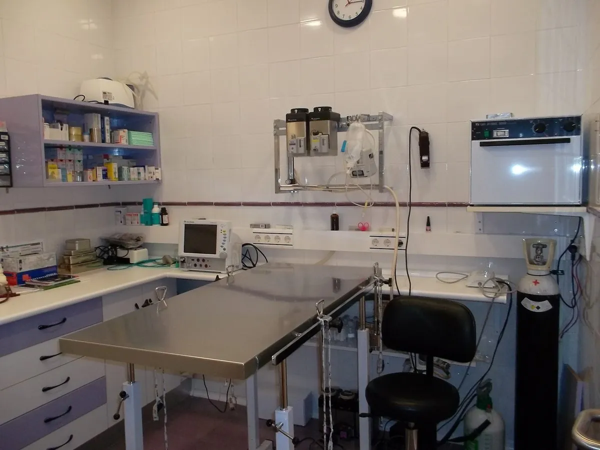 Clínica Veterinaria Valleaguado en Coslada — foto 4