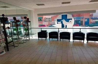 Clínica Veterinaria Vellcan en Coslada — foto 3