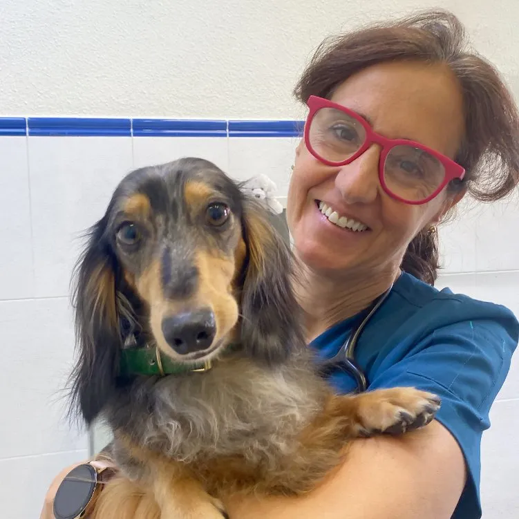 Clínica Veterinaria WECAN La Colina en Coslada — foto 2