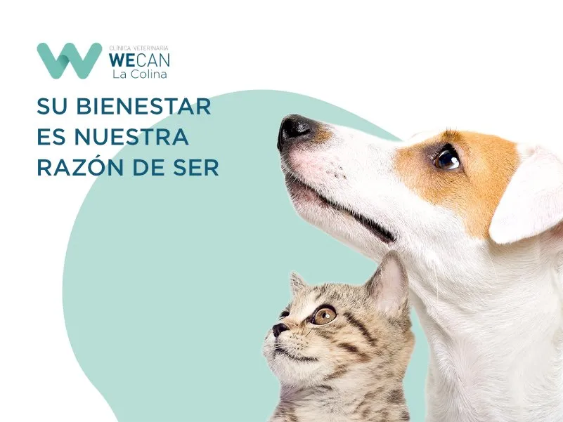 Clínica Veterinaria WECAN La Colina en Coslada