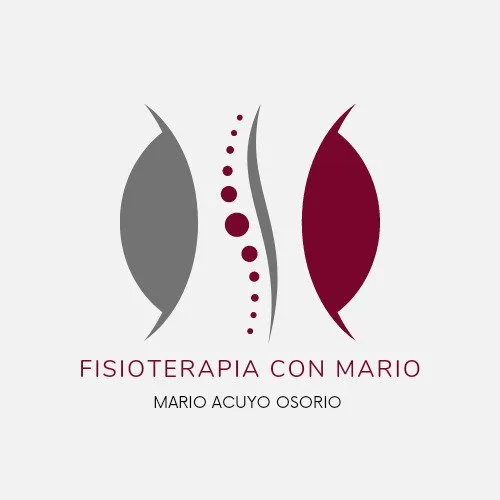 Fisioterapia con Mario en El Cañaveral — foto 2