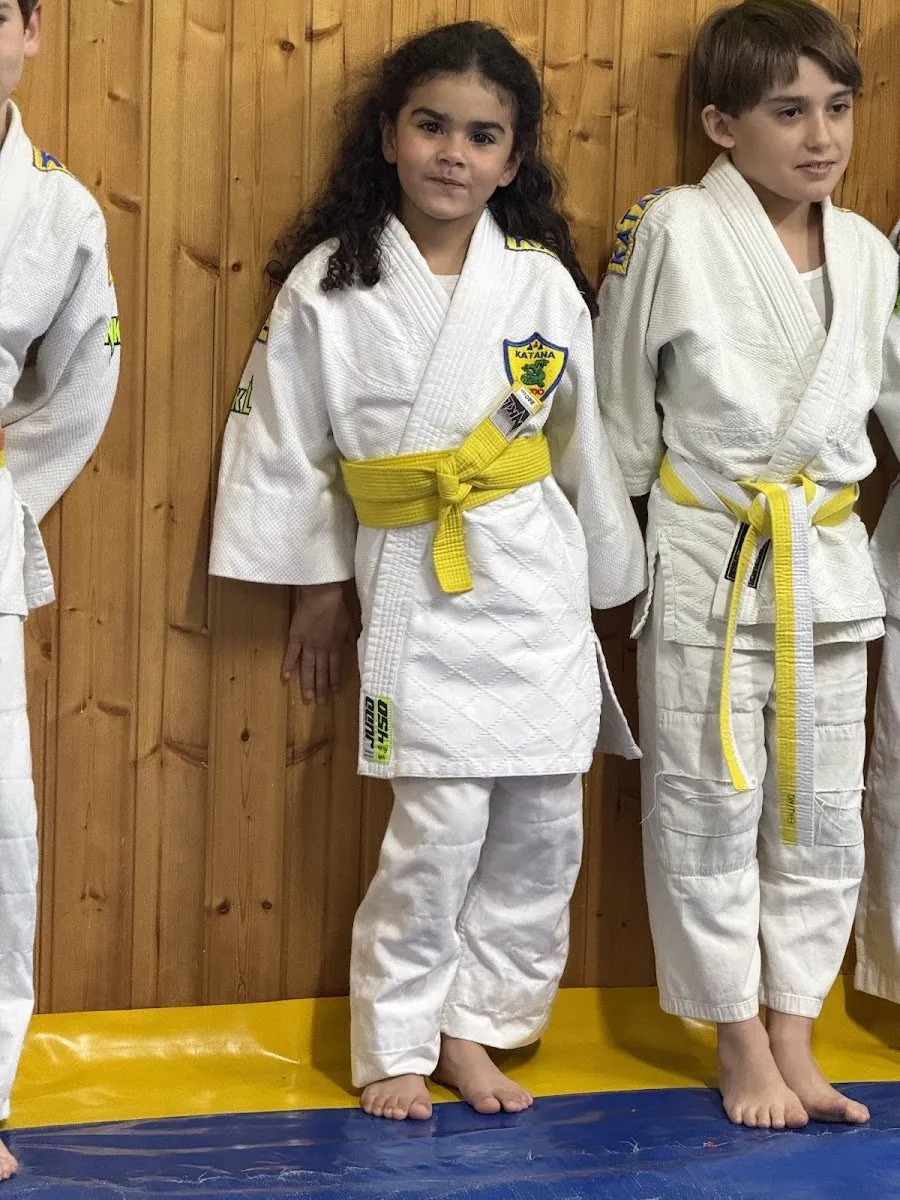 Gimnasio Katana en Coslada — foto 4