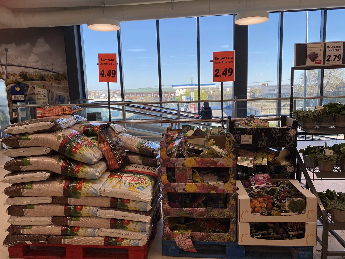 Lidl El Cañaveral en El Cañaveral — foto 4