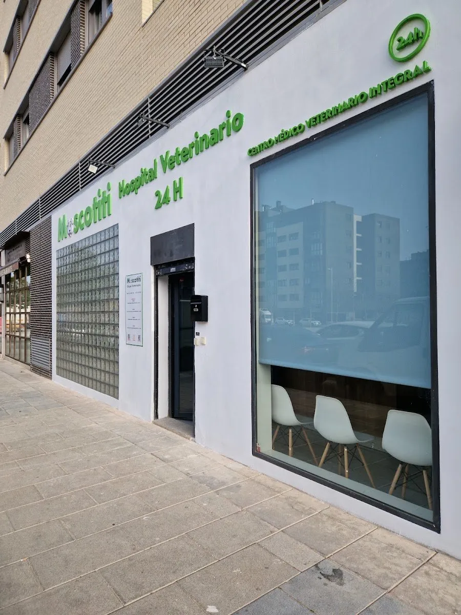 Mascotiti Hospital Veterinario Cañaveral – Urgencias 24h en El Cañaveral