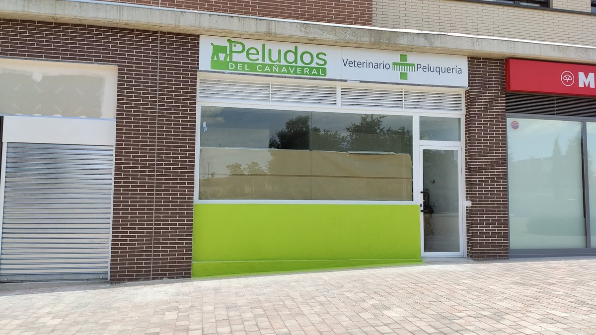 Peludos del Cañaveral en El Cañaveral — foto 2