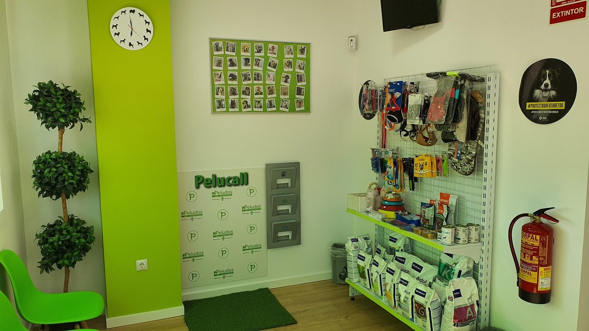 Peludos del Cañaveral en El Cañaveral — foto 4