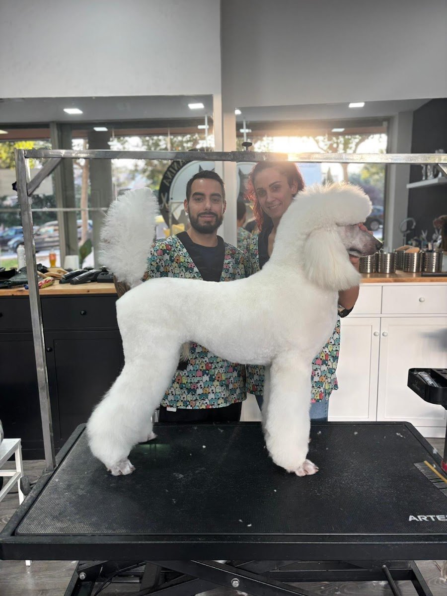 Peludos del Cañaveral en El Cañaveral — foto 5