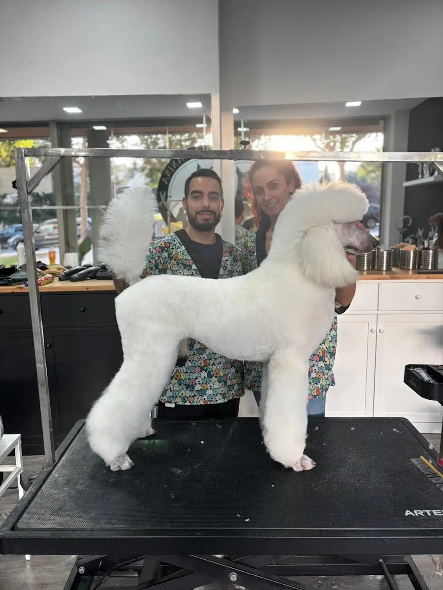 Peludos del Cañaveral en El Cañaveral — foto 5