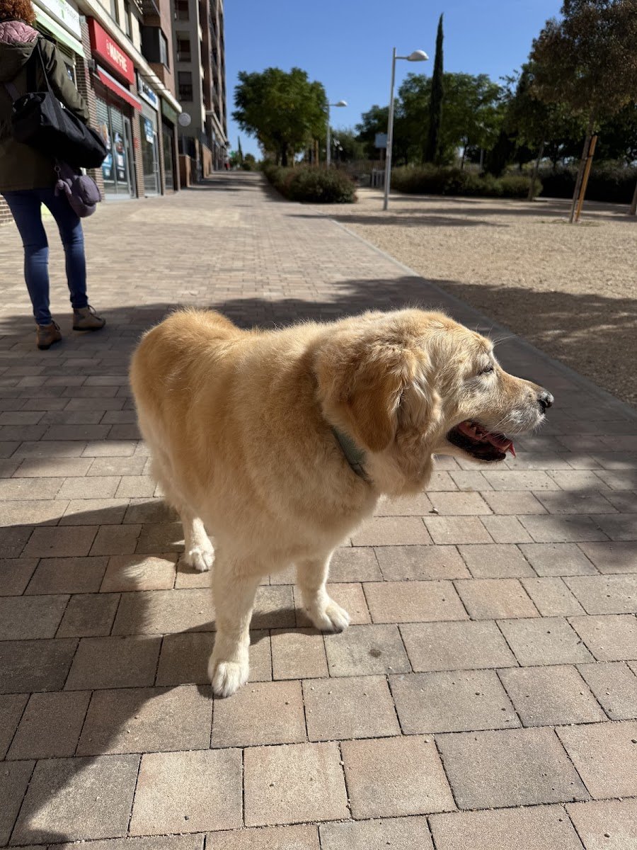 Peludos del Cañaveral