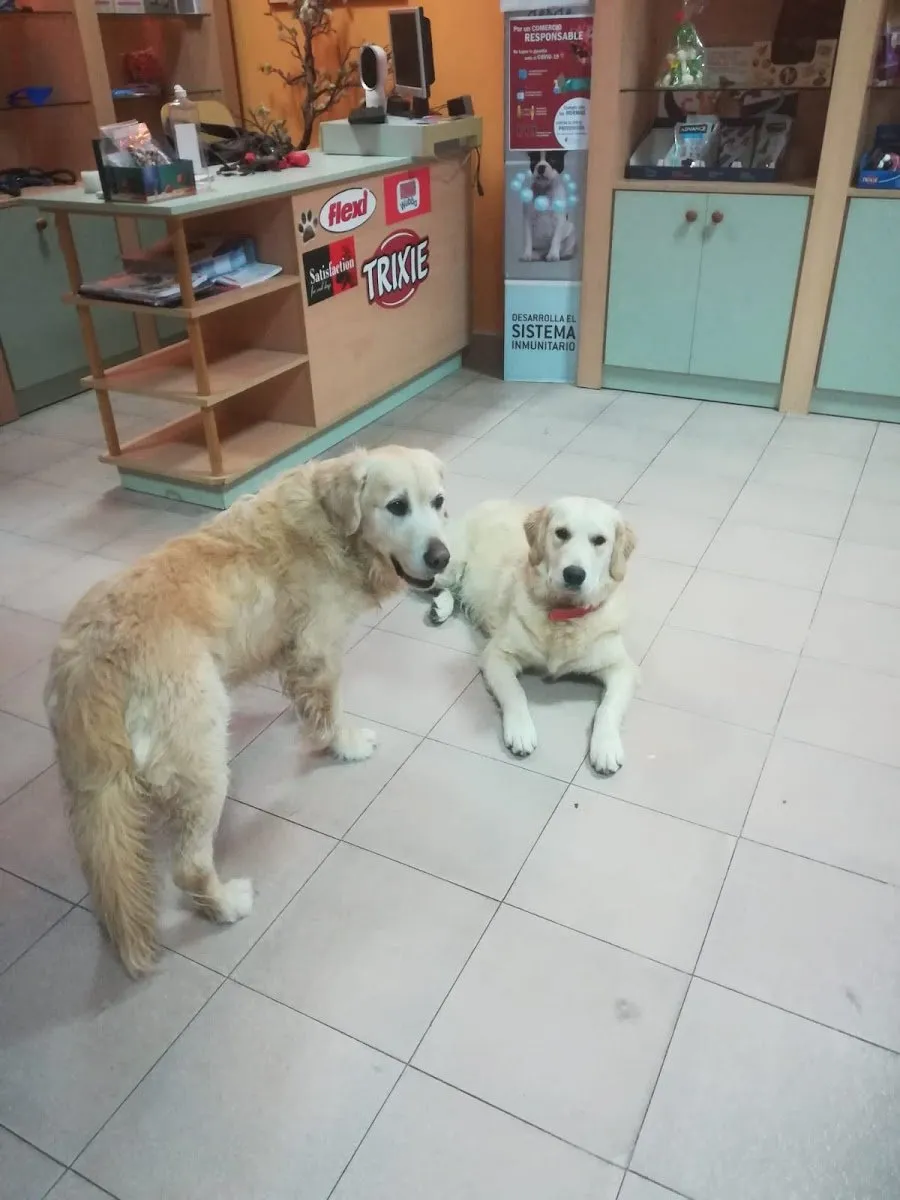 Peluquería Canina frenchieperbote en San Fernando de Henares — foto 4