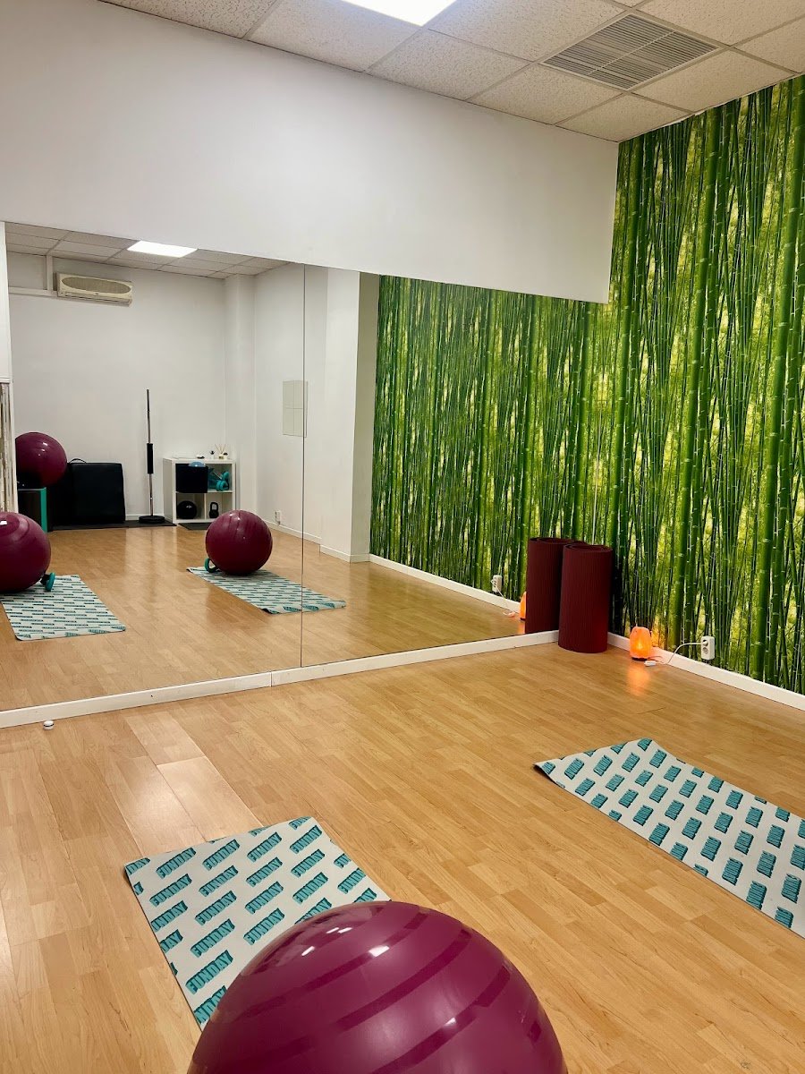 Soul Fisioterapia en El Cañaveral — foto 5